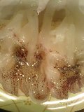 b0081270_238272.jpg