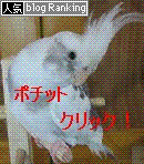 e0027078_975629.gif