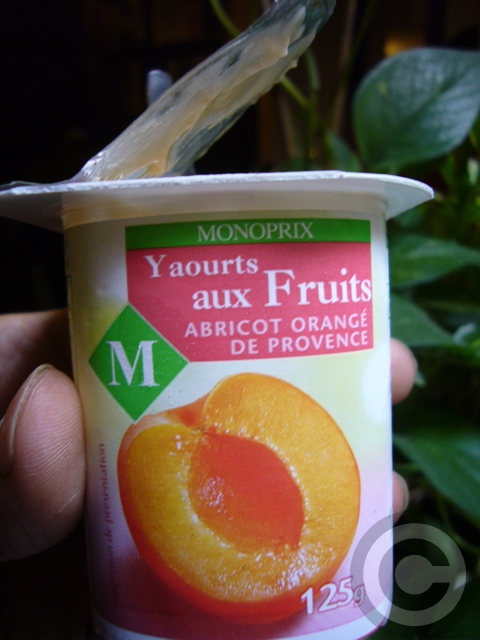 ■コレはヒットなヨーグルト(フランス)_a0014299_656862.jpg