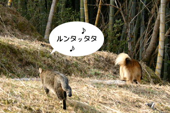 a0041108_18195752.gif