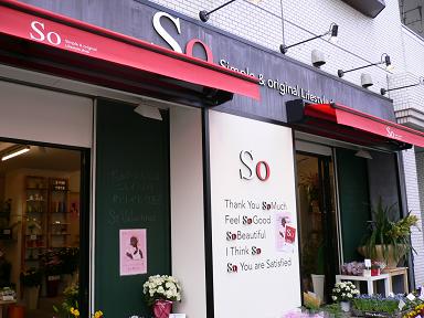 東京へ行ってきました!_d0099708_16145735.jpg