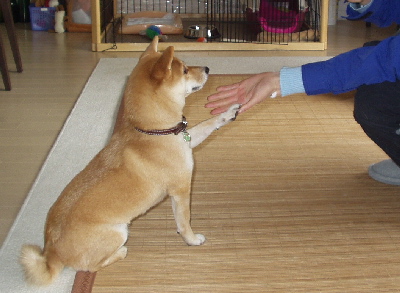 f0004309_1402233.jpg