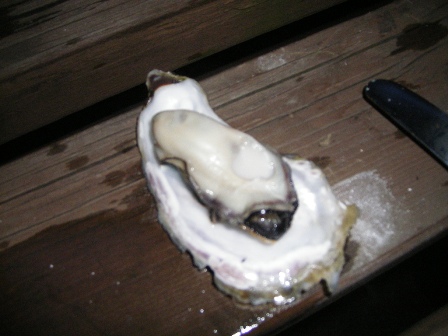 f0000330_2002647.jpg