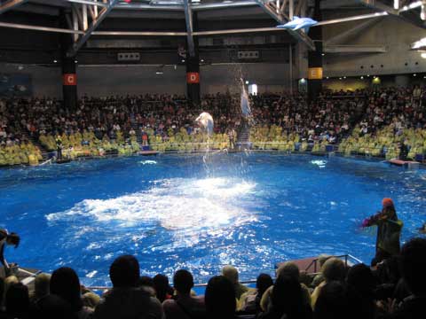 水族館_c0019131_22325294.jpg