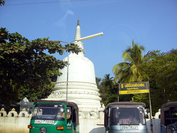 a0015132_8483386.jpg