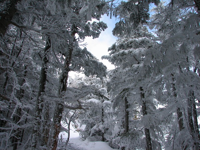 黒斑山　２月１１日（日）_b0097836_22235257.jpg