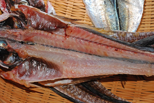 自家製干物の作り方 旨い干物を作りましょう 魚屋三代目日記 自家製干物の作り方 旨い干物を作りましょう 魚屋三代目日記