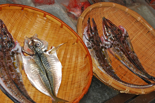 自家製干物の作り方 旨い干物を作りましょう 魚屋三代目日記 自家製干物の作り方 旨い干物を作りましょう 魚屋三代目日記
