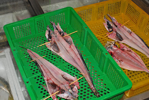 自家製干物の作り方 旨い干物を作りましょう 魚屋三代目日記