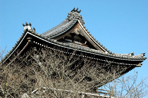 　　根 来 寺　　_b0093754_23432890.jpg