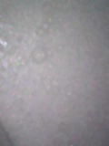 d0007957_021178.jpg