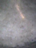 d0007957_04694.jpg