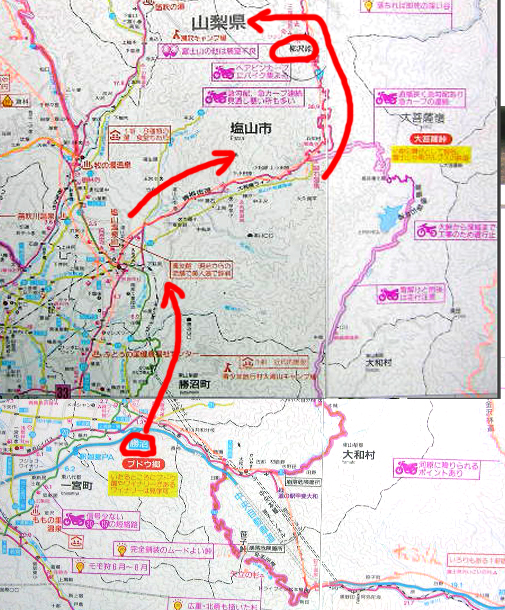 雪中行軍 ？ : STRAY TRAIL