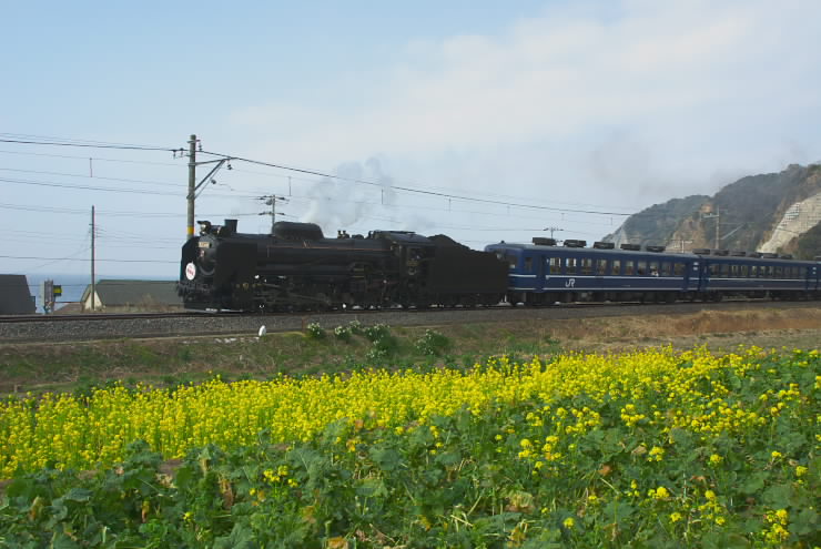 SLと春を撮りに千葉、安房路へ(SL南房総号)_e0069983_239545.jpg