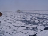 c0109090_168727.jpg