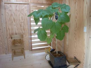 お住まい訪問_d0087595_17144138.jpg