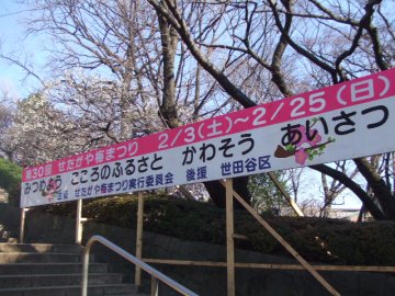 f0120102_13535537.jpg