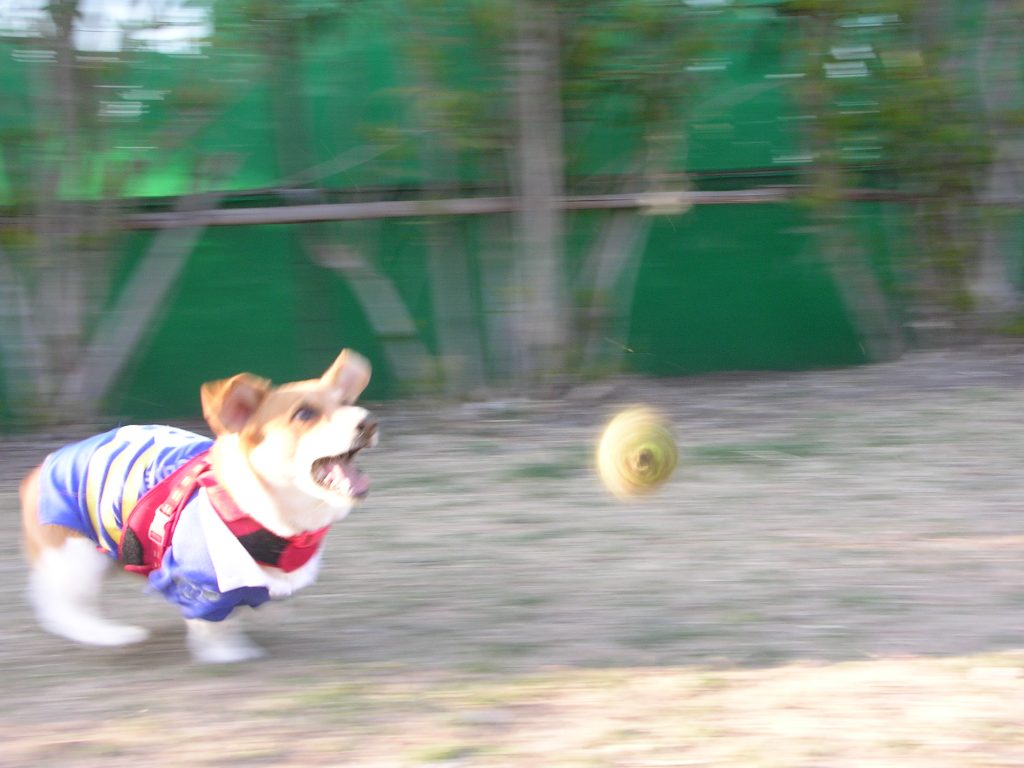 a0024004_16594950.jpg