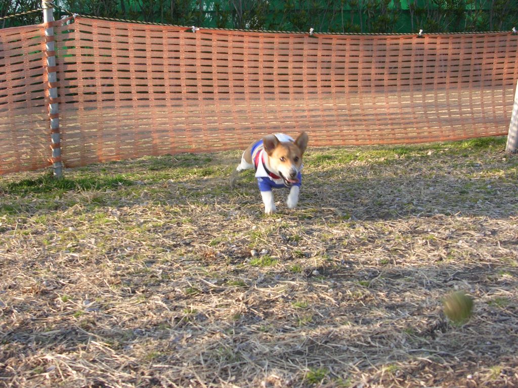 a0024004_1724014.jpg