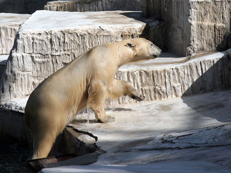 動物園にて_c0058205_1856034.jpg