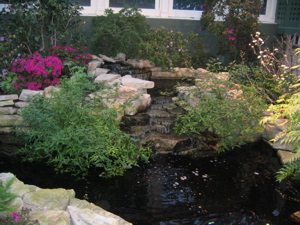 f0102814_13261230.jpg