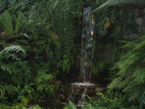 f0102814_13264727.jpg
