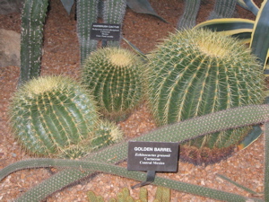f0102814_13271914.jpg