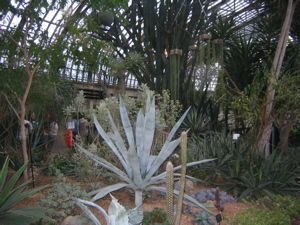 f0102814_1327453.jpg