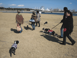 e0080117_2361835.gif