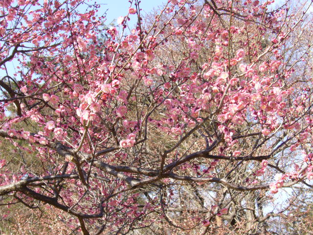 d0000324_15144686.jpg
