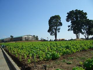 f0010925_19391477.jpg
