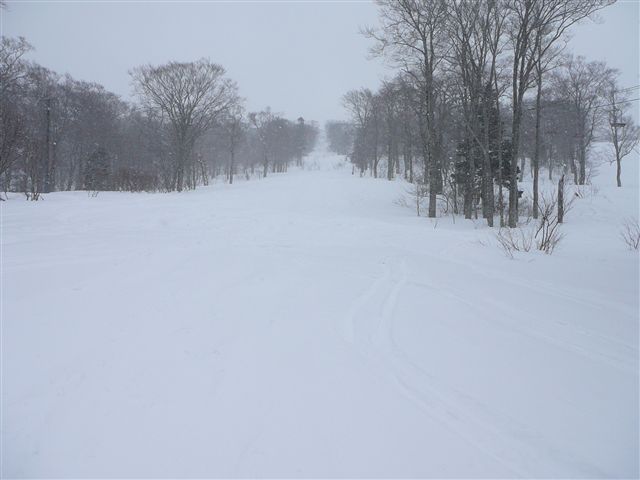 c0081645_2231822.jpg