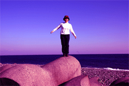 b0046050_19321748.gif