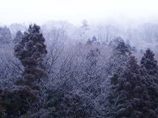 e0028650_11513043.jpg