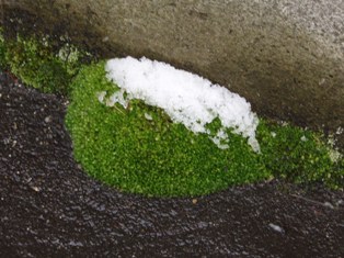 e0028650_14114561.jpg