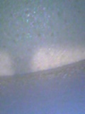 d0007957_21511343.jpg