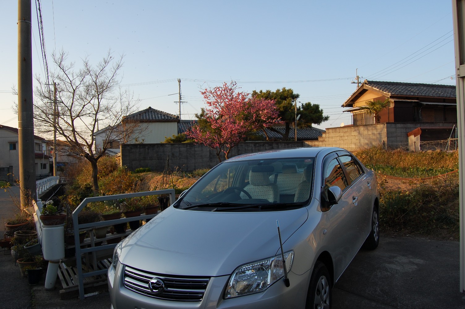 c0108460_18447.jpg