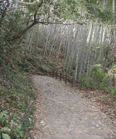 e0002676_17435389.gif