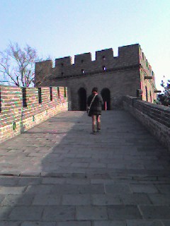 f0072976_1022555.jpg