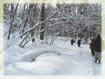 f0083977_21311673.jpg