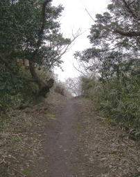c0008598_9442563.jpg