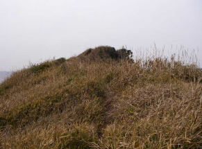 c0008598_9462277.jpg