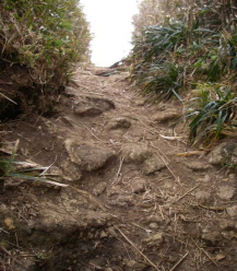 c0008598_946336.jpg
