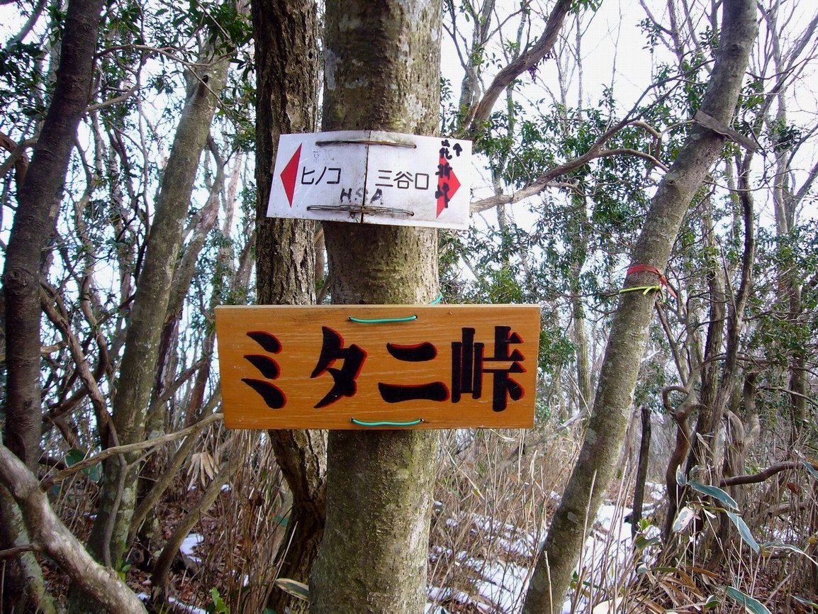 初歩きはナッチョ 天ヶ森 山好き的日々 京都北山