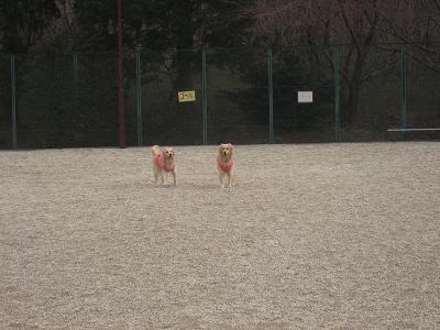 e0117503_239855.jpg
