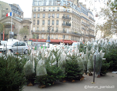 のんびりな一日　〜PARIS〜_e0103211_22381912.jpg