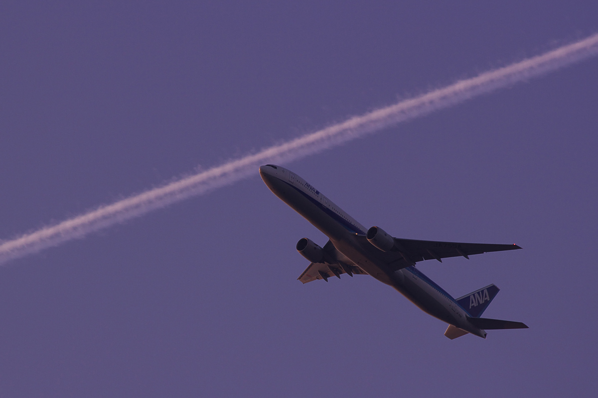 f0004525_20112631.jpg