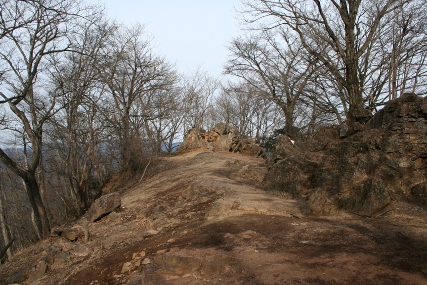 伊豆ヶ岳　登山再開はほろ苦いものに_c0108926_040420.jpg