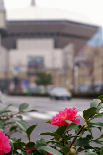 c0032138_9362043.jpg