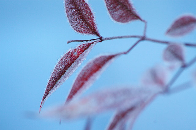 c0067040_2315739.jpg